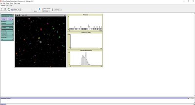 EffectofSpatialClustering_v1_Oestmo.et_.al_.jpg